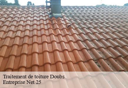 Traitement de toiture 25 Doubs Entreprise Net 25