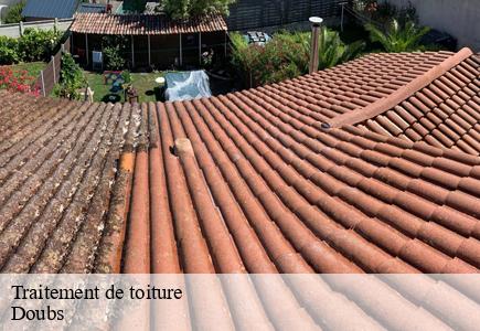 Traitement de toiture 25 Doubs Entreprise Net 25