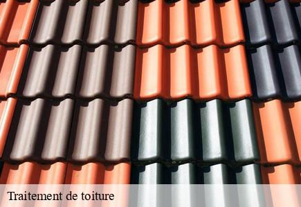 Traitement de toiture 25 Doubs Entreprise Net 25