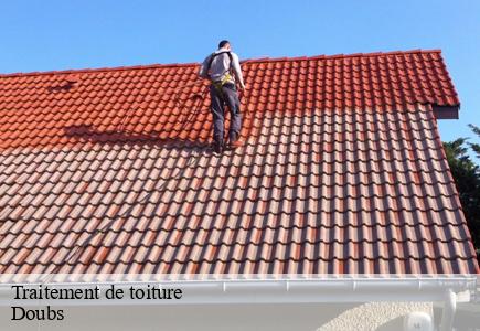 Traitement de toiture 25 Doubs Entreprise Net 25