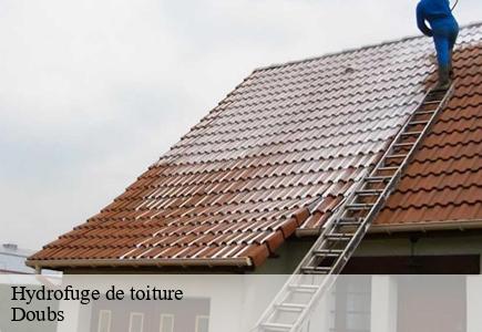 Hydrofuge de toiture 25 Doubs Entreprise Net 25