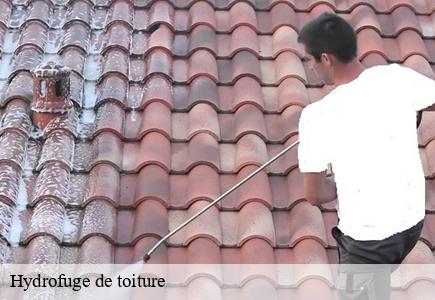Hydrofuge de toiture 25 Doubs Entreprise Net 25