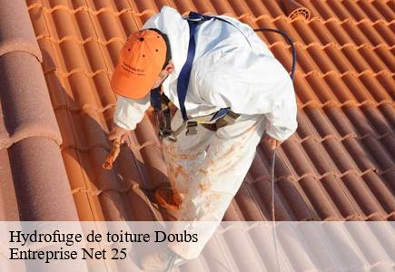 Hydrofuge de toiture 25 Doubs Entreprise Net 25