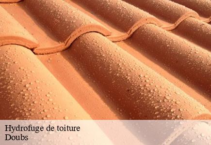 Hydrofuge de toiture 25 Doubs Entreprise Net 25