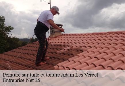 Peinture sur tuile et toiture adam-les-vercel-25530 Entreprise Net 25