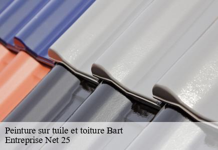 Peinture sur tuile et toiture bart-25420 Entreprise Net 25