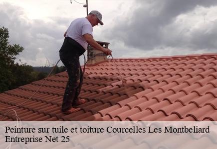Peinture sur tuile et toiture courcelles-les-montbeliard-25420 Entreprise Net 25