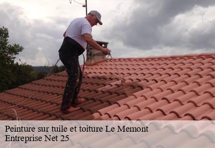 Peinture sur tuile et toiture le-memont-25210 Entreprise Net 25