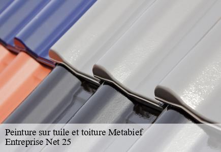 Peinture sur tuile et toiture metabief-25370 Entreprise Net 25