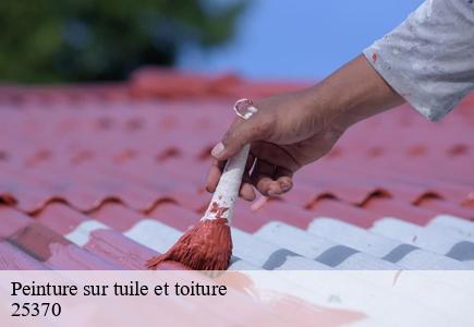 Peinture sur tuile et toiture metabief-25370 Entreprise Net 25