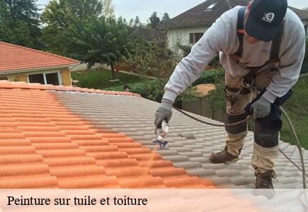 Peinture sur tuile et toiture metabief-25370 Entreprise Net 25