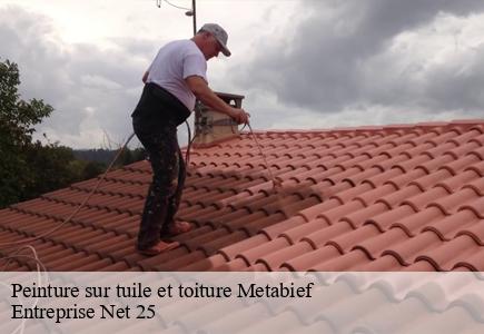 Peinture sur tuile et toiture metabief-25370 Entreprise Net 25