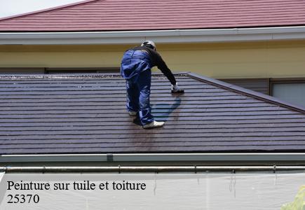 Peinture sur tuile et toiture metabief-25370 Entreprise Net 25