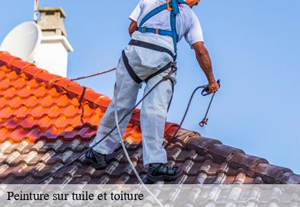 Peinture sur tuile et toiture  montlebon-25500 Entreprise Net 25 