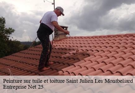 Peinture sur tuile et toiture saint-julien-les-montbeliard-25550 Entreprise Net 25