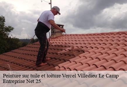 Peinture sur tuile et toiture vercel-villedieu-le-camp-25530 Entreprise Net 25