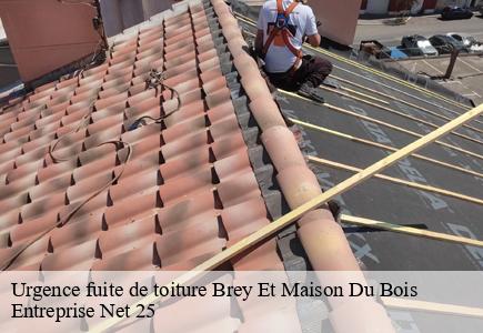 Urgence fuite de toiture brey-et-maison-du-bois-25240 Entreprise Net 25