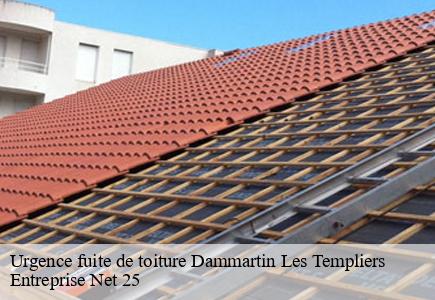 Urgence fuite de toiture dammartin-les-templiers-25110 Entreprise Net 25