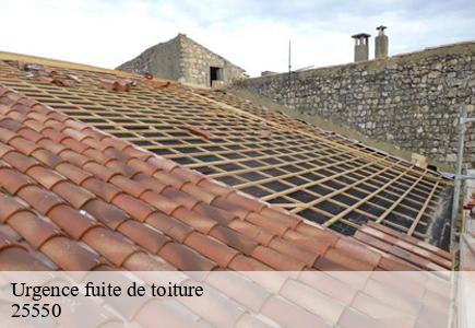 Urgence fuite de toiture dung-25550 Entreprise Net 25
