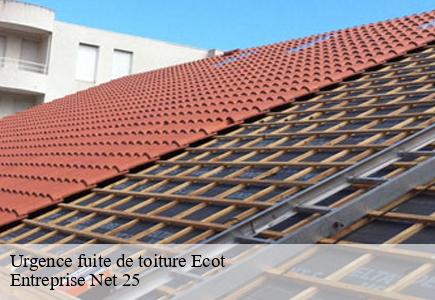Urgence fuite de toiture ecot-25150 Entreprise Net 25