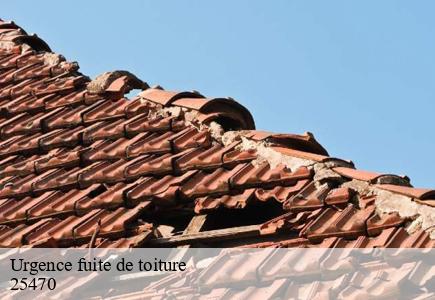 Urgence fuite de toiture goumois-25470 Entreprise Net 25