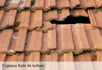 Urgence fuite de toiture goumois-25470 Entreprise Net 25