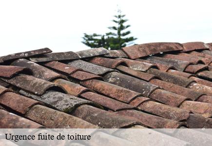 Urgence fuite de toiture granges-maillot-25270 Entreprise Net 25