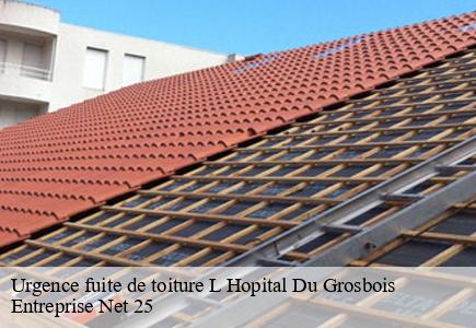 Urgence fuite de toiture l-hopital-du-grosbois-25620 Entreprise Net 25