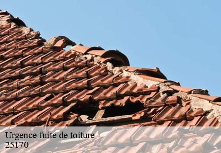 Urgence fuite de toiture lantenne-vertiere-25170 Entreprise Net 25