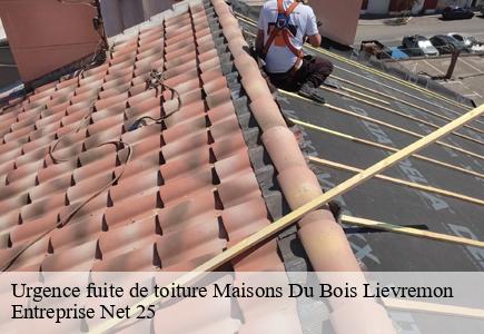 Urgence fuite de toiture maisons-du-bois-lievremon-25650 Entreprise Net 25