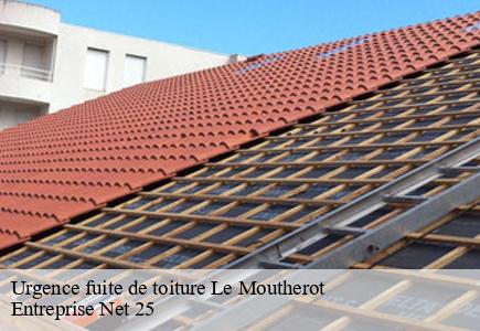 Urgence fuite de toiture le-moutherot-25170 Entreprise Net 25