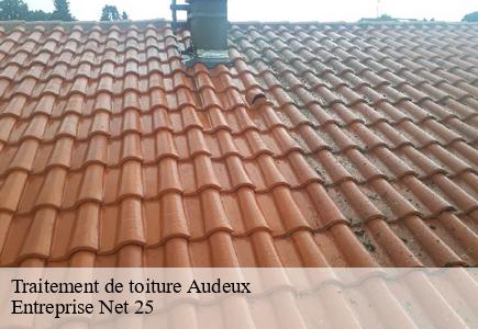 Traitement de toiture audeux-25170 Entreprise Net 25
