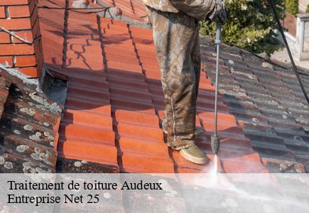 Traitement de toiture audeux-25170 Entreprise Net 25
