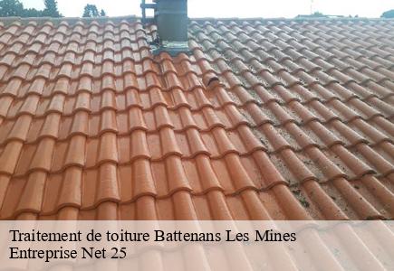 Traitement de toiture battenans-les-mines-25640 Entreprise Net 25