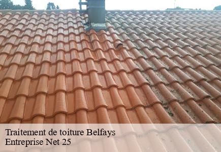 Traitement de toiture belfays-25470 Entreprise Net 25