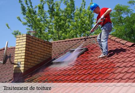 Traitement de toiture boussieres-25320 Entreprise Net 25