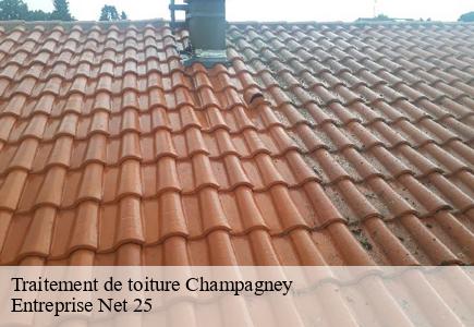Traitement de toiture champagney-25170 Entreprise Net 25