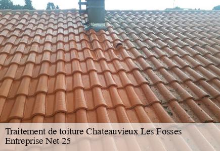 Traitement de toiture chateauvieux-les-fosses-25840 Entreprise Net 25
