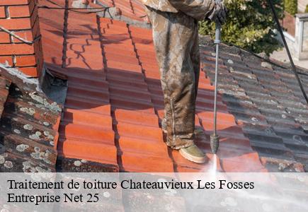 Traitement de toiture chateauvieux-les-fosses-25840 Entreprise Net 25