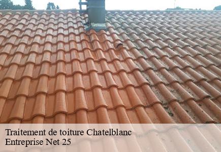 Traitement de toiture chatelblanc-25240 Entreprise Net 25