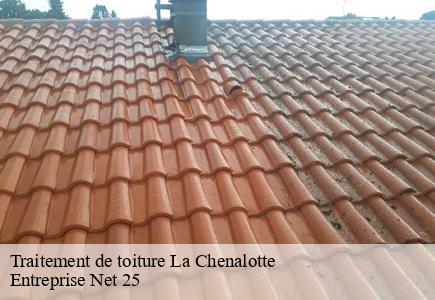 Traitement de toiture la-chenalotte-25500 Entreprise Net 25