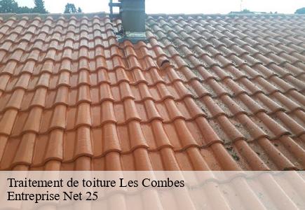 Traitement de toiture les-combes-25500 Entreprise Net 25