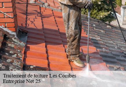 Traitement de toiture les-combes-25500 Entreprise Net 25