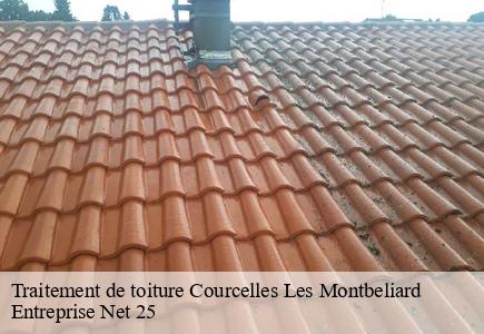 Traitement de toiture courcelles-les-montbeliard-25420 Entreprise Net 25