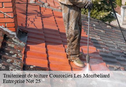 Traitement de toiture courcelles-les-montbeliard-25420 Entreprise Net 25