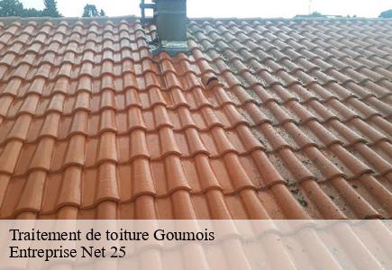 Traitement de toiture goumois-25470 Entreprise Net 25