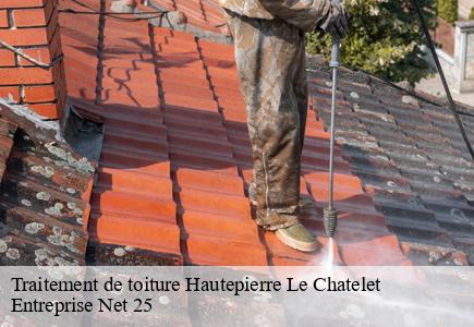 Traitement de toiture hautepierre-le-chatelet-25580 Entreprise Net 25