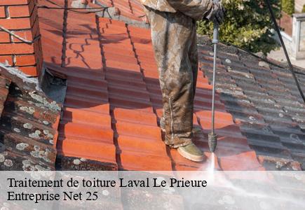 Traitement de toiture laval-le-prieure-25210 Entreprise Net 25