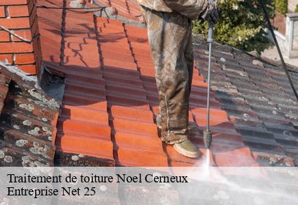 Traitement de toiture noel-cerneux-25500 Entreprise Net 25
