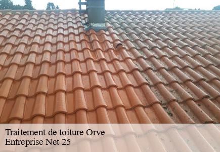 Traitement de toiture orve-25430 Entreprise Net 25